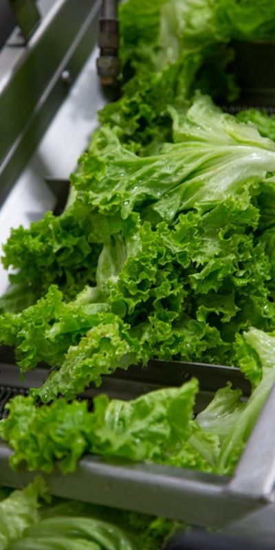 WhatsApp Image 2026-01-29 at 12.45.50